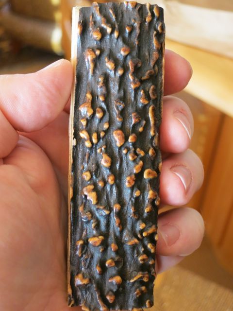 IMG_1244_zps01a3f768